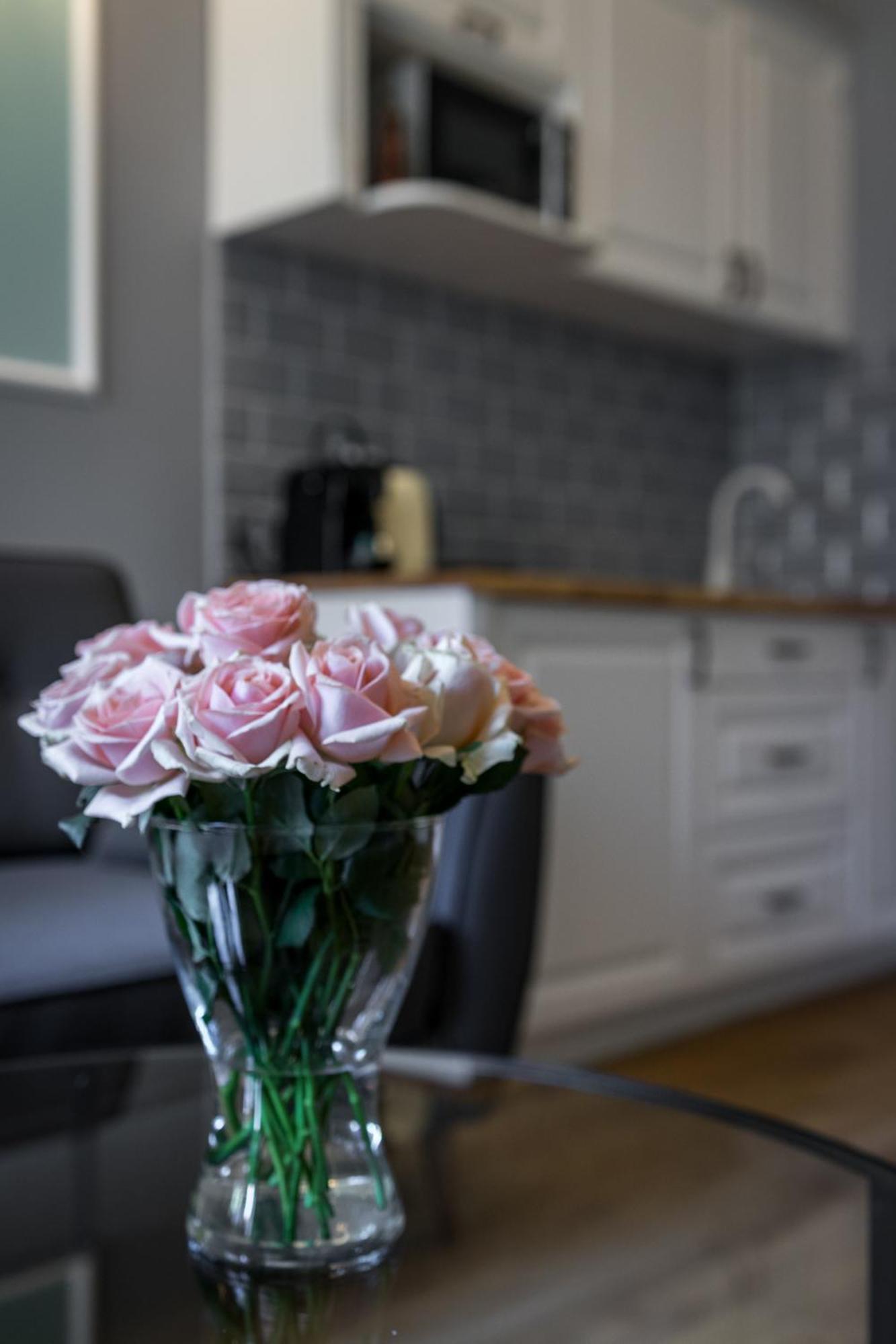 Domles Apartments Krakow Dış mekan fotoğraf